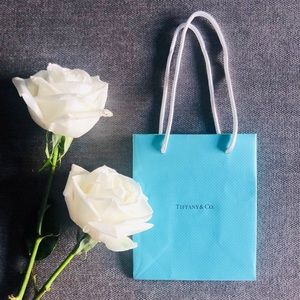 Tiffany & Co Shopping Bag
